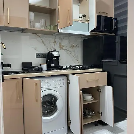 Zen Dristor Sector 3 * Bükreş