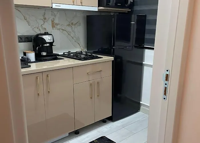 Zen Dristor Sector 3 * בוקרשט