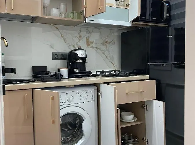 Zen Dristor Sector 3 * ブカレスト