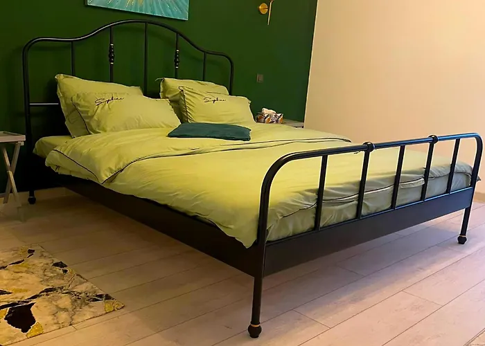 Zen Dristor Sector 3 Bucareste